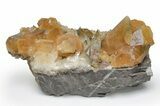 Dogtooth Calcite Crystals with Phantoms - Morocco #222927-1